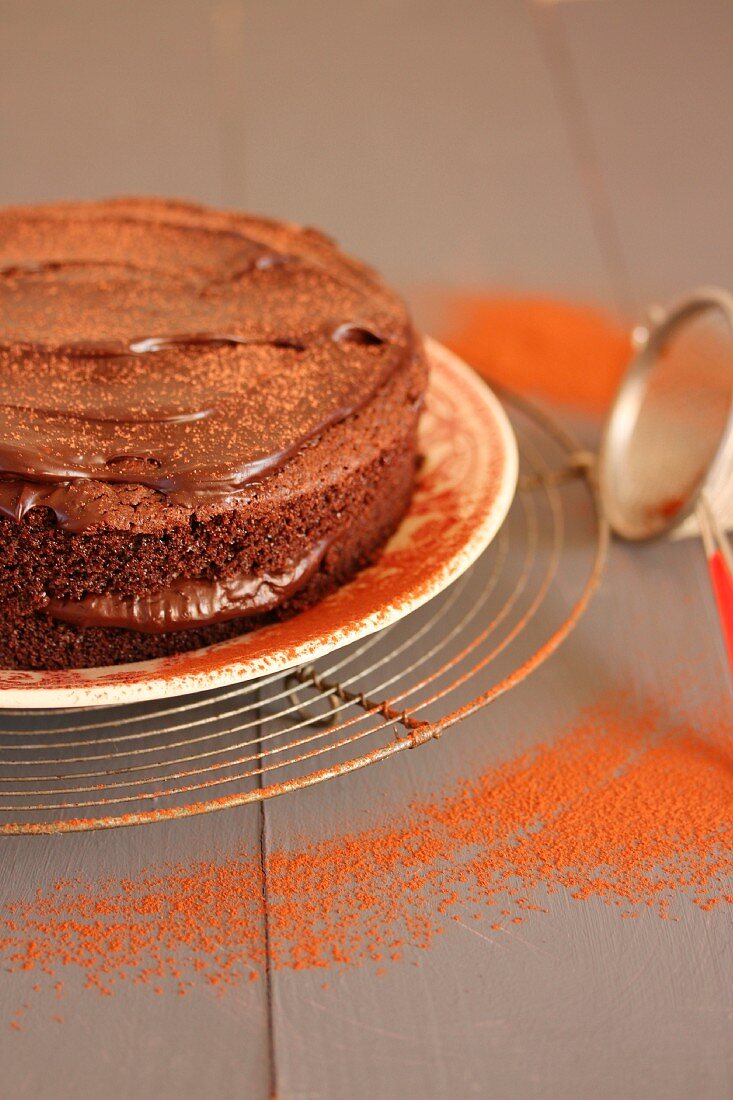 A chocolate cake dusted with cocoa powder