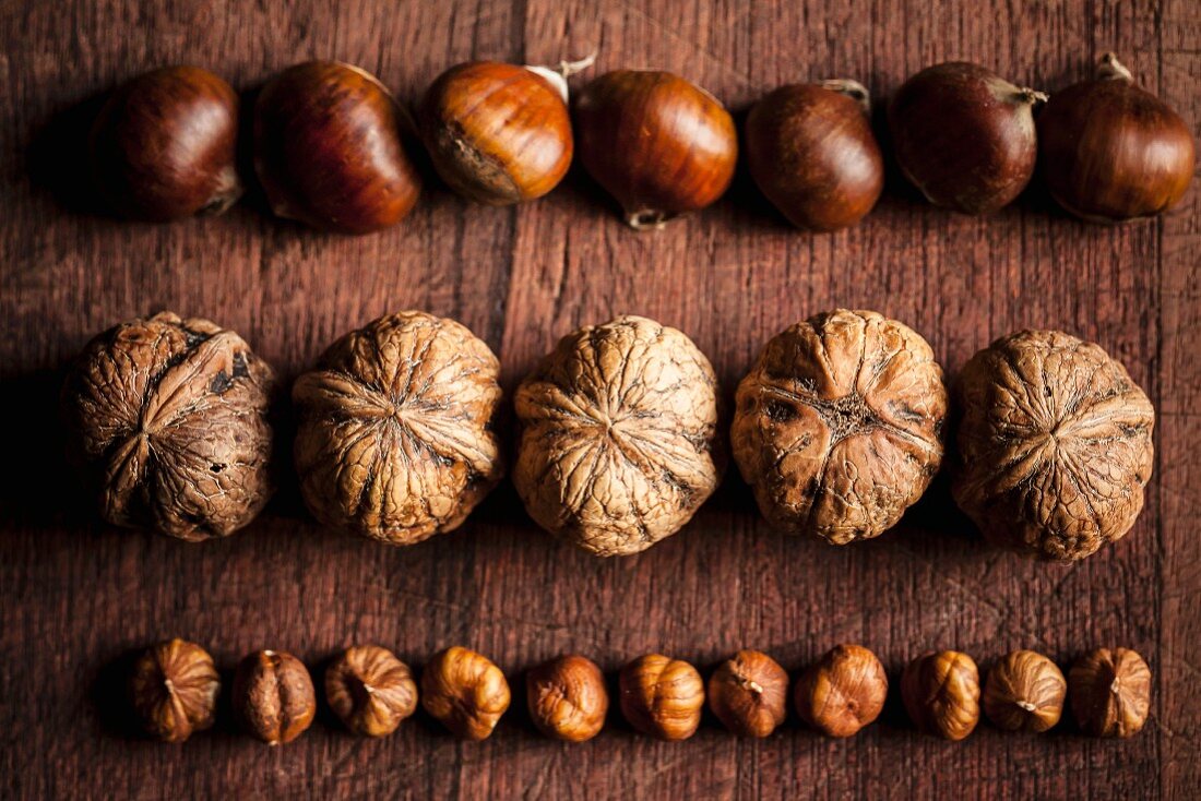 Rows of chestnuts, walnuts and hazelnuts on a wooden surface