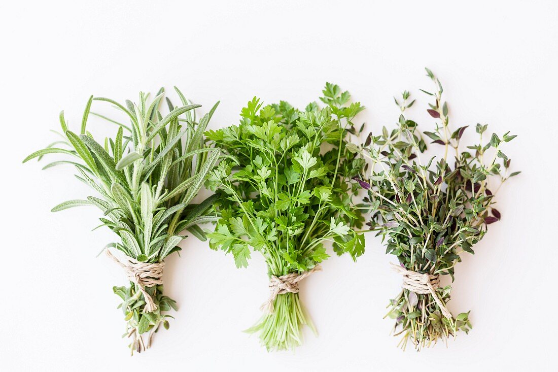 Three bunches of fresh herbs: rosemary, coriander and thyme