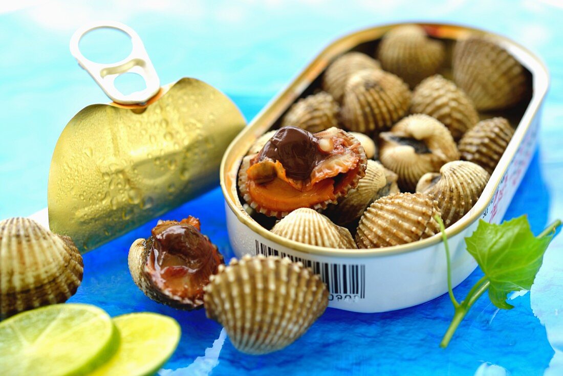 Fresh clams from Thailand in a tin