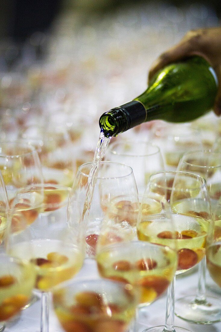 White wine being poured into glasses