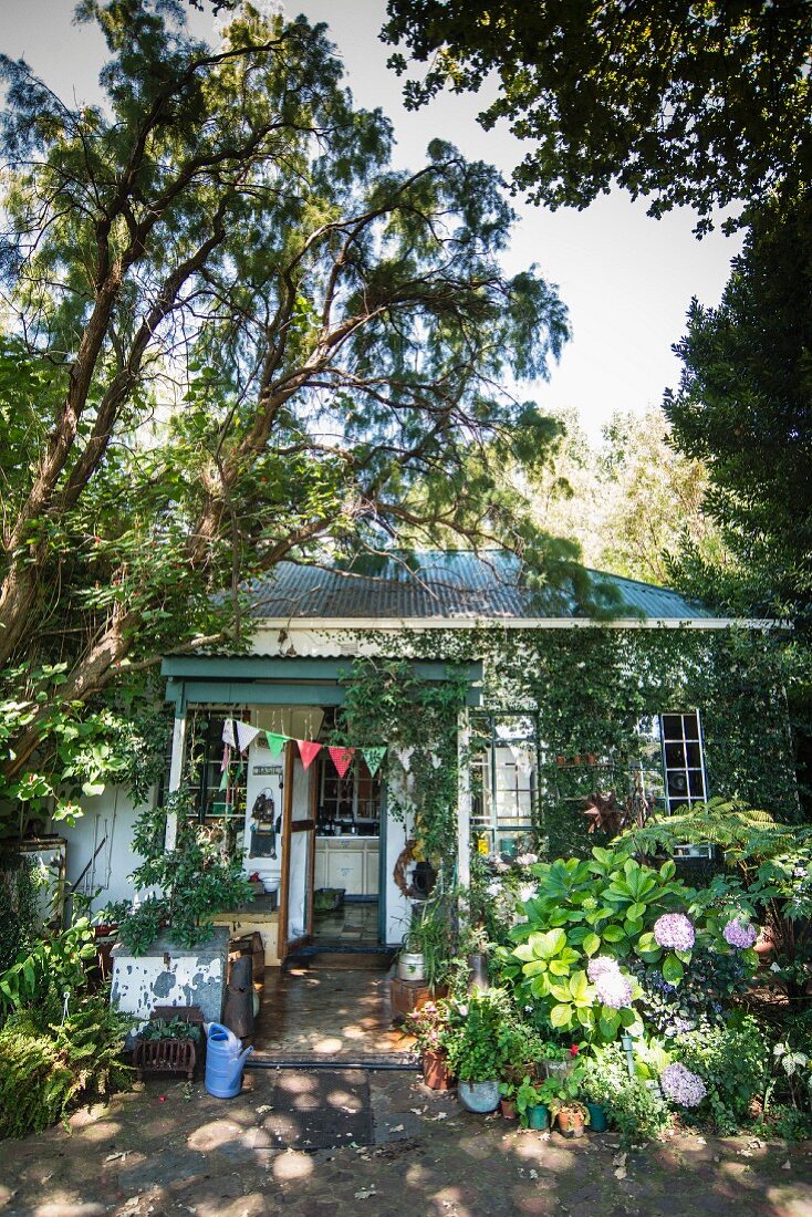 Vintage cottage in mature garden with flowering bush and colourful bunting on porch