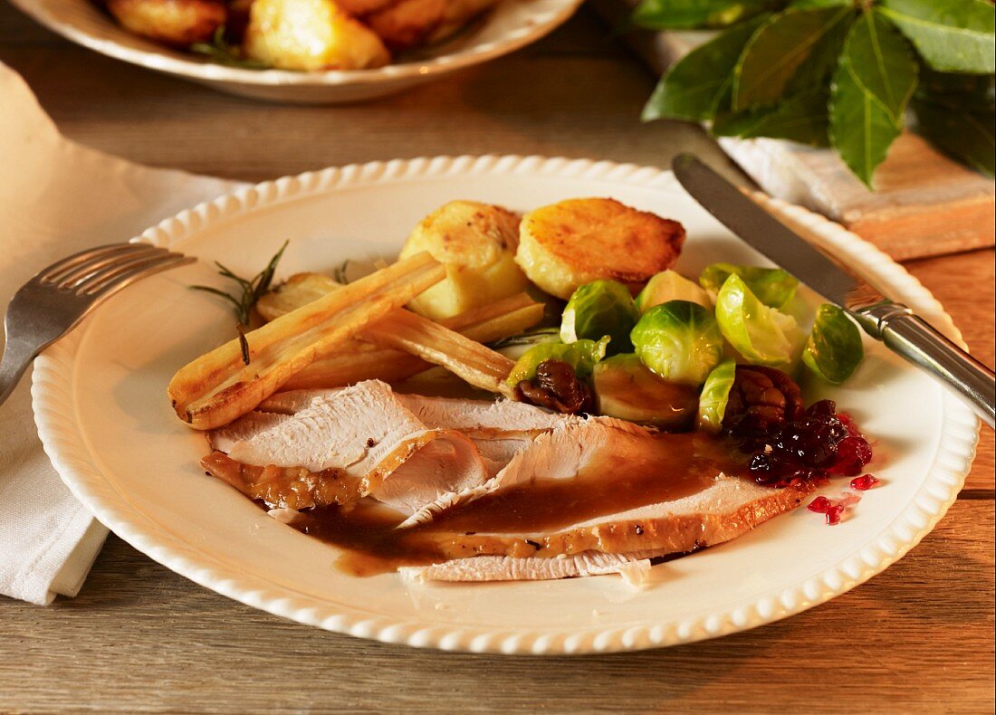 Christmas dinner with sliced turkey, vegetables and cranberries