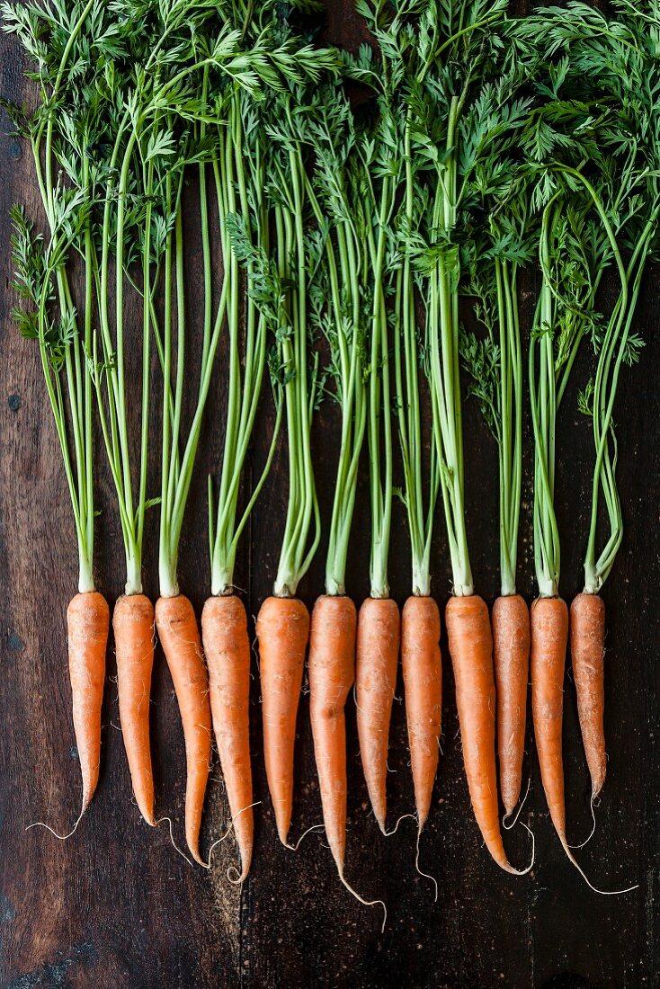 A row of carrots on a wooden surface