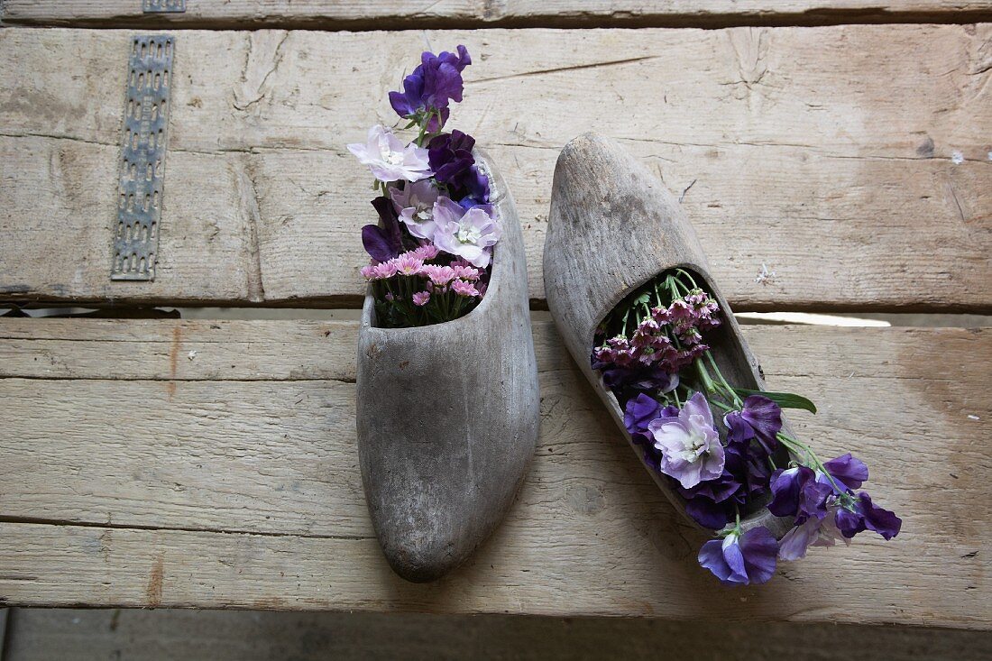 Violette Blumen in Holzschuhen