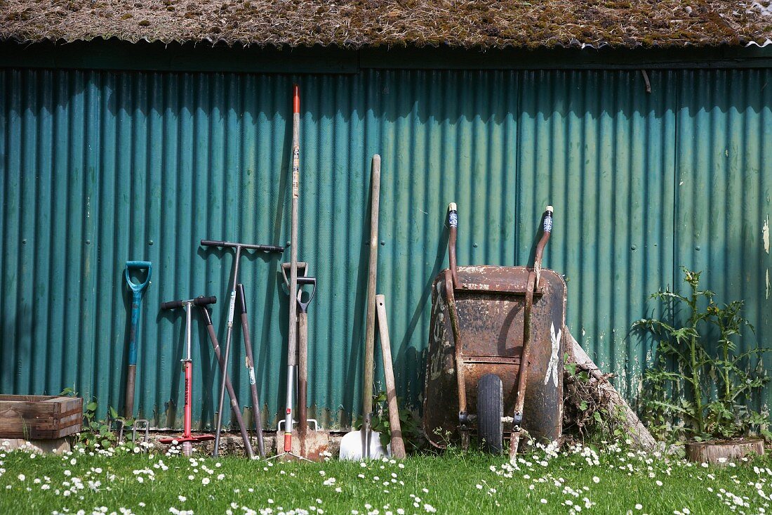 Various garden tools and a wheelbarrow leaning against a green corrugated iron wall