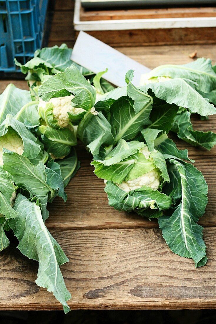 Cauliflower at the market