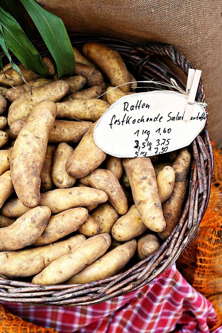 Französische Kartoffelsorte La Ratte im Korb auf dem Markt