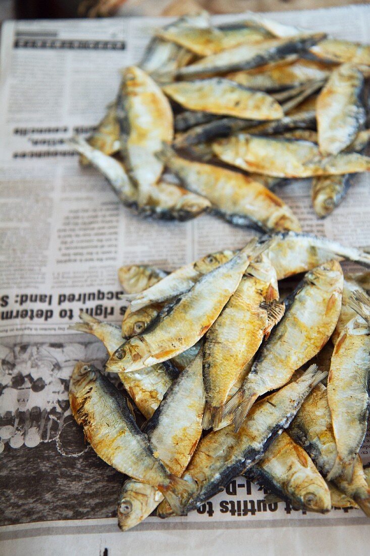 Fisch auf Zeitungspapier auf dem Markt von Margao, Goa, Indien