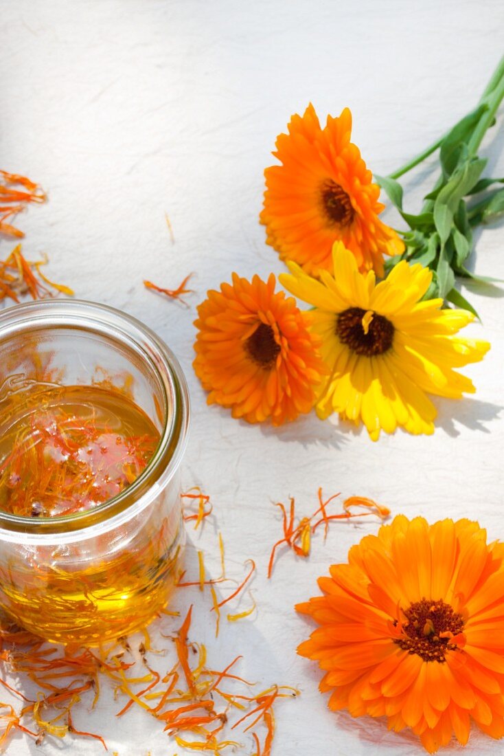 Ringelblumen (Calendula officinalis), getrocknete Blütenblätter und Ringelblumenöl