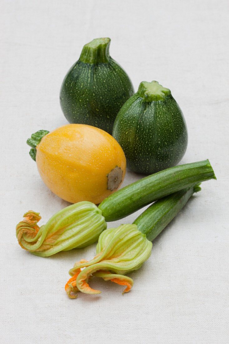 Gelbe und grüne runde Zucchini und lange Zucchini mit Blüten