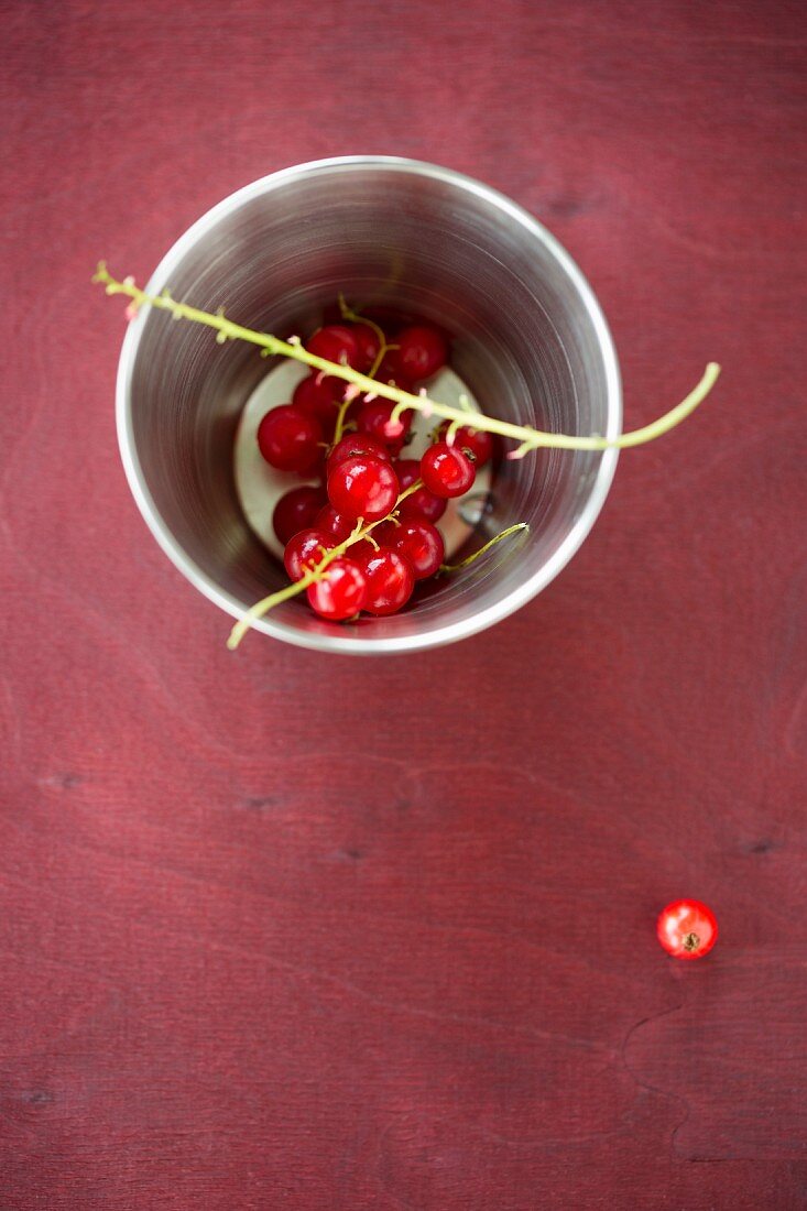 Redcurrants in a metal cup