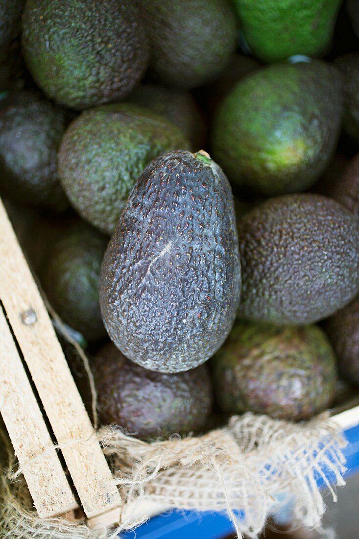 A crate of avocados at a market