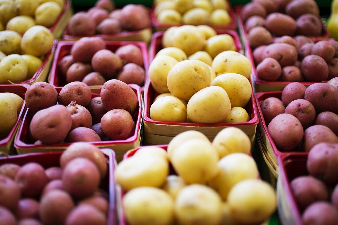 Rote und gelbe Kartoffeln in Spankörben auf dem Markt