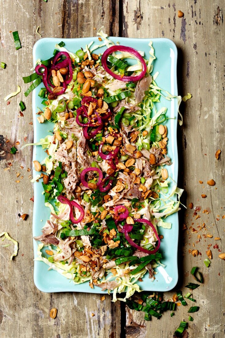 Chicken salad with peanuts and onions
