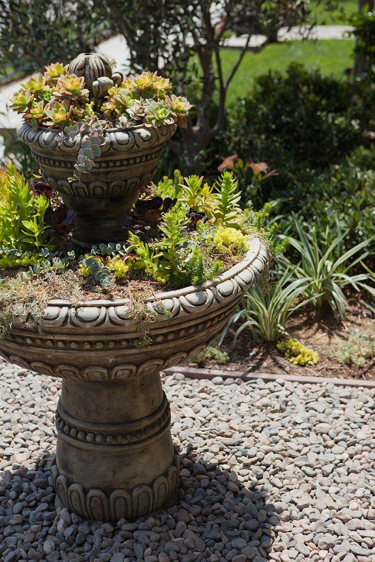 View of garden plants on a sunny day