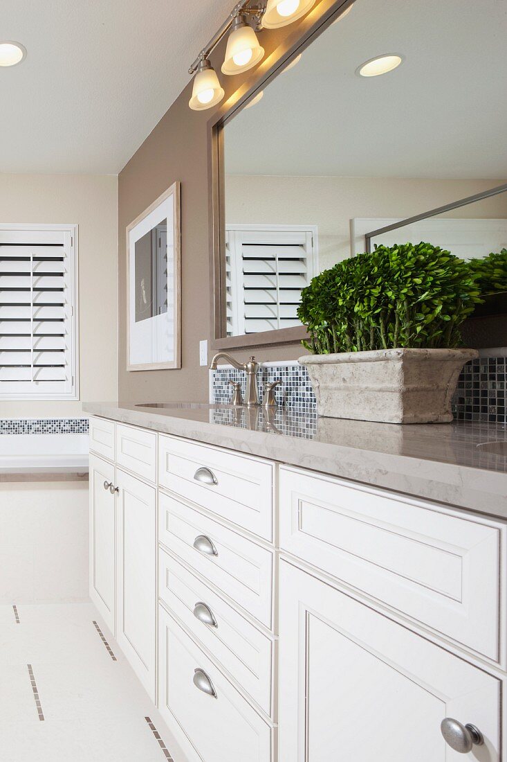 Houseplant on bathroom counter