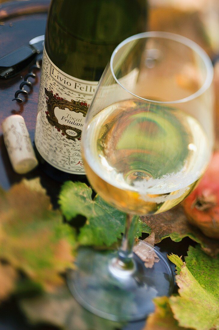 A glass of white wine surrounded by autumnal vine leaves