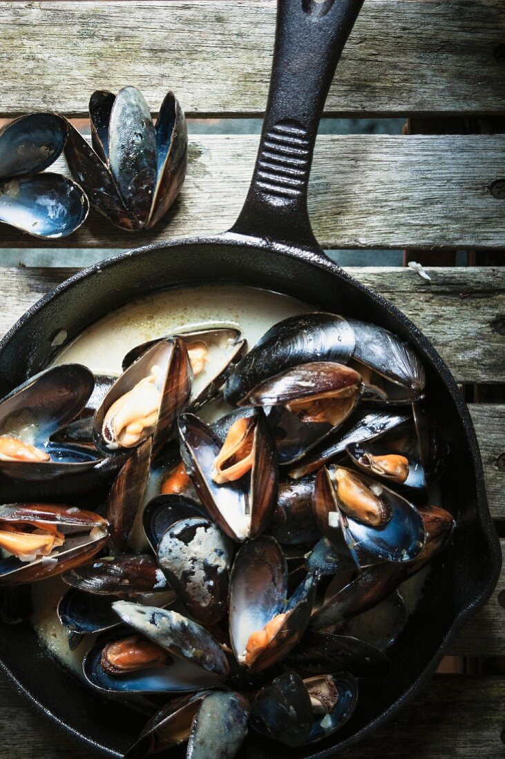 Mussels in a creamy sauce