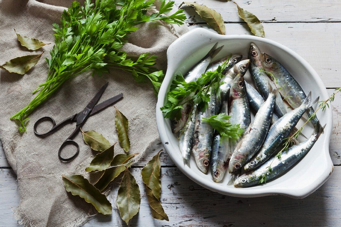 Fresh, raw sardines with parsley and bay leaves