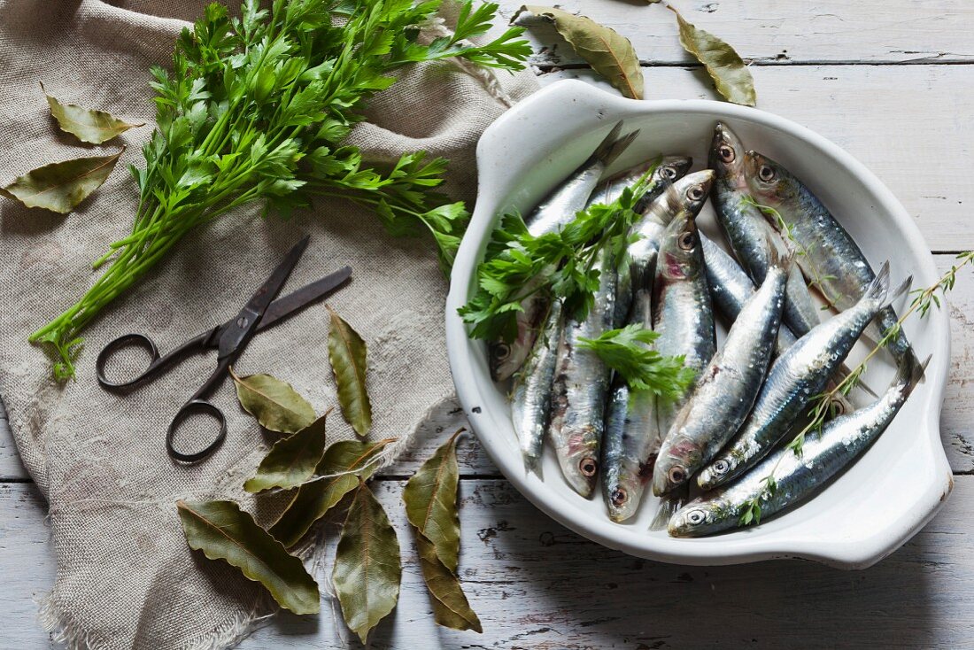 Frische, rohe Sardinen mit Petersilie und Lorbeerblättern