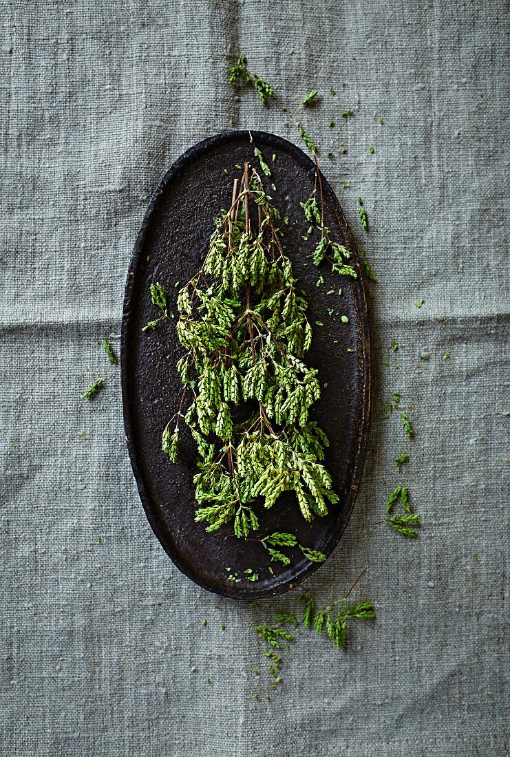 Dried wild oregano on an oval plate