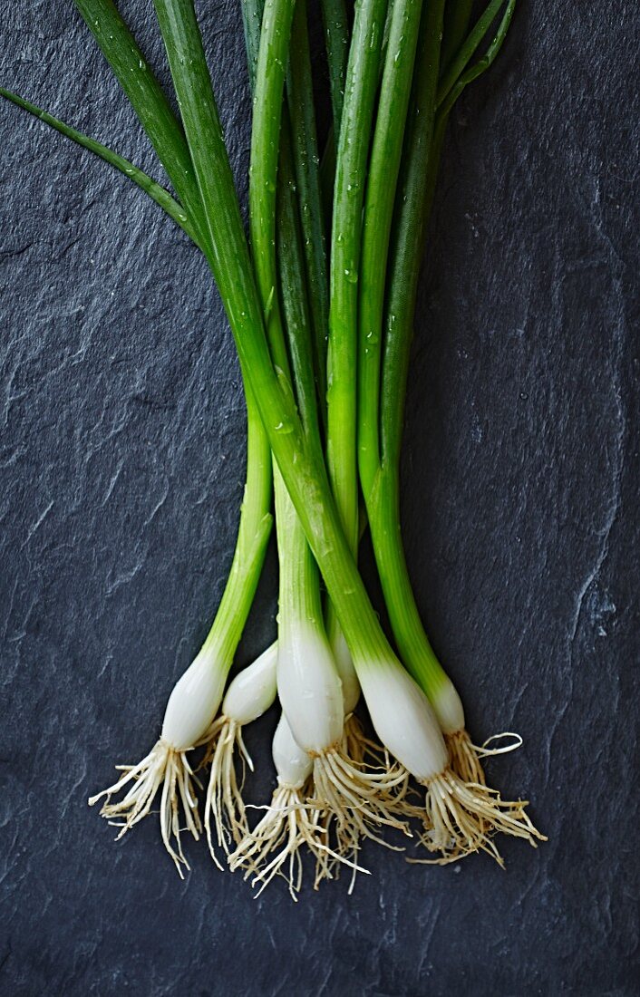 Fresh spring onions on a slate surface