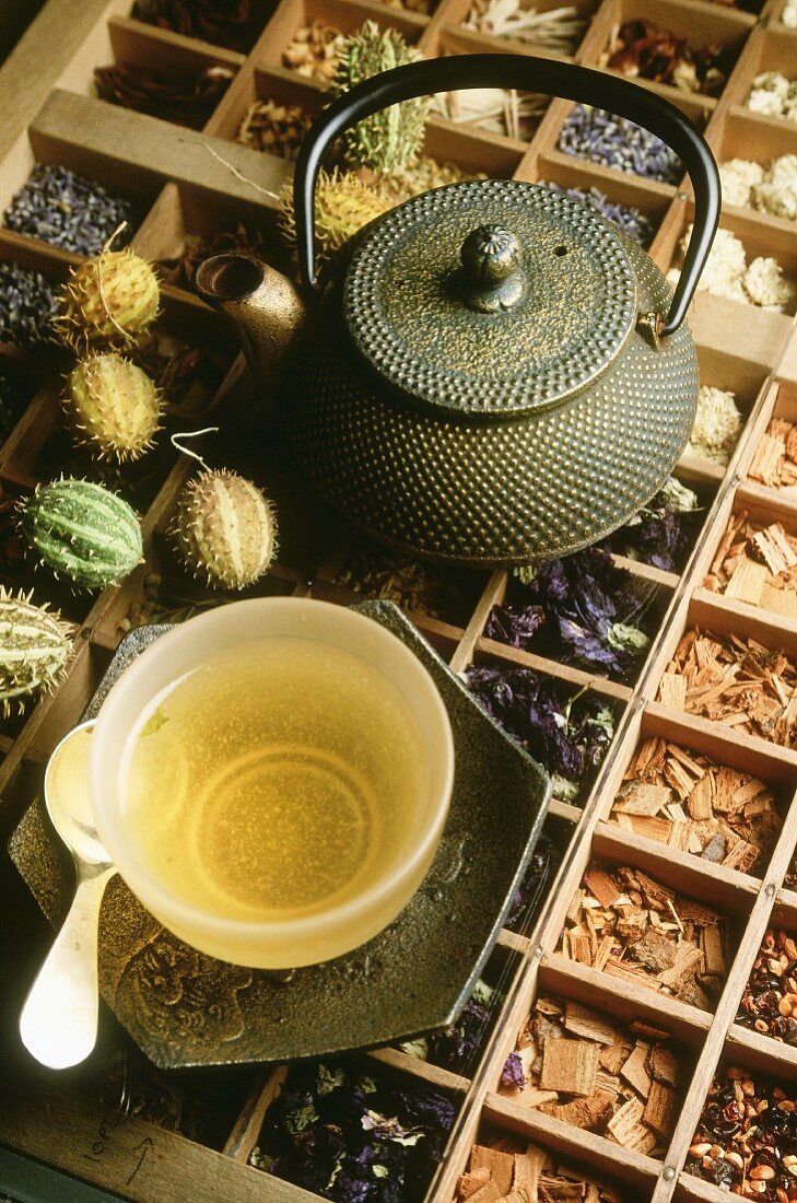 Grüner Tee in einer Teeschale auf großer Kräuter- und Gewürzesammlung