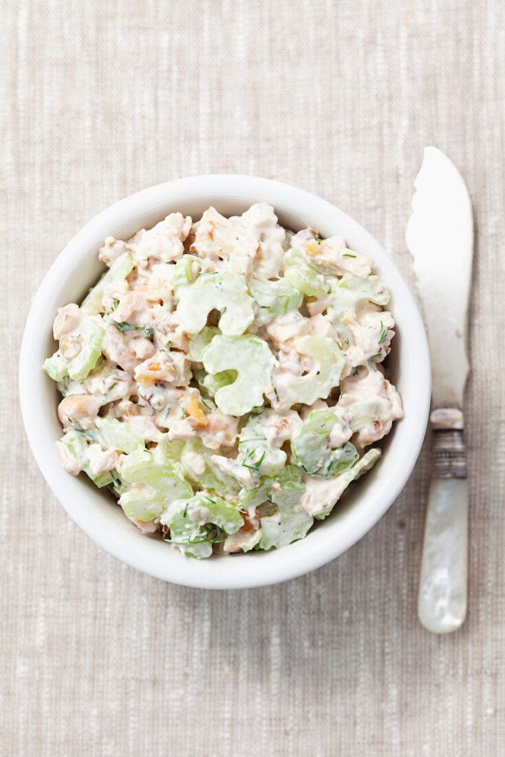 Grilled chicken, celery, walnut and mayonnaise spread