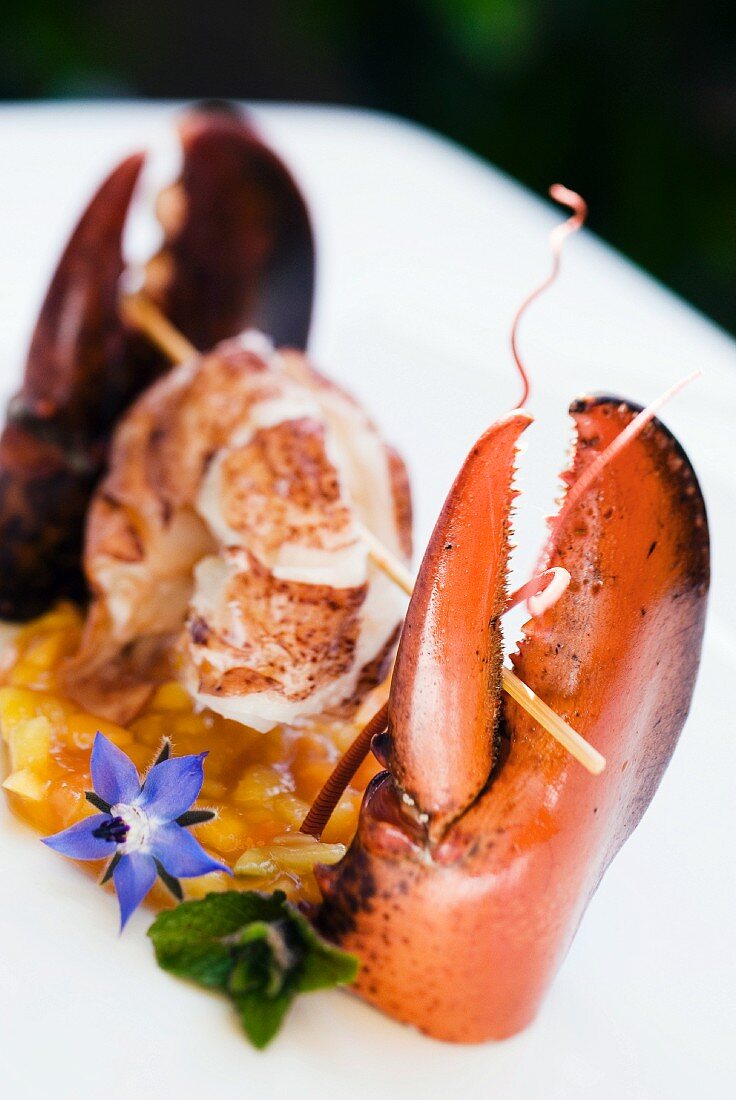 Steamed lobster with exotic fruit compote