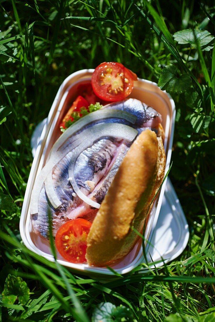 A herring and tomato sandwich in a picnic tin