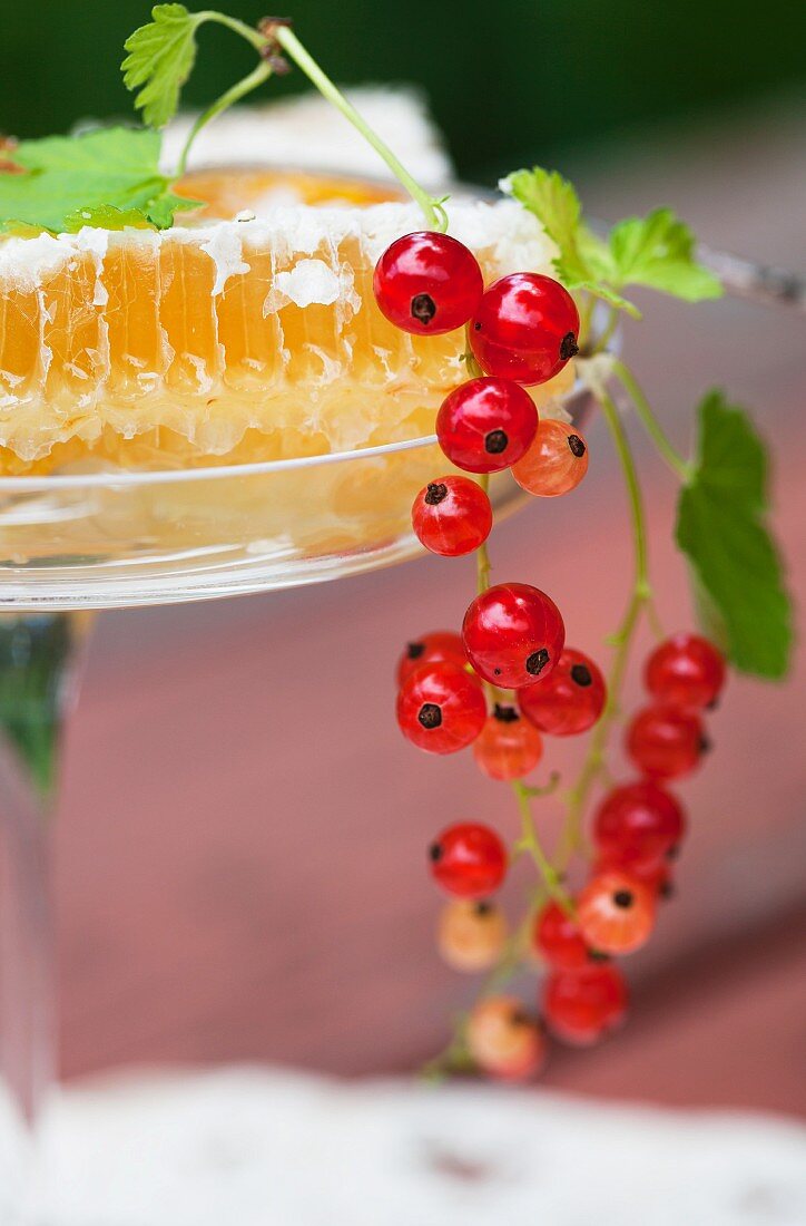 A honeycomb with redcurrants (close-up)
