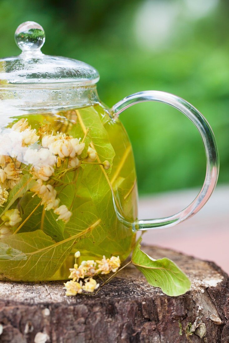 Linden blossom tea in a glass teapot