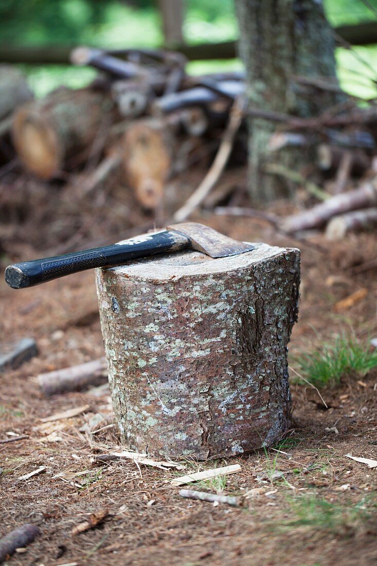 Tree stump with axe
