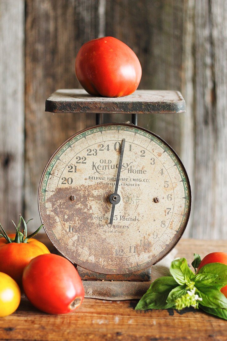 An antique pair of kitchen scales with tomatoes and basil