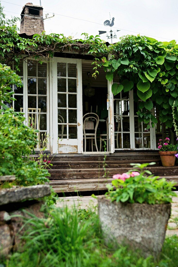 View from garden of climber-covered summer house with wooden steps leading to open terrace doors