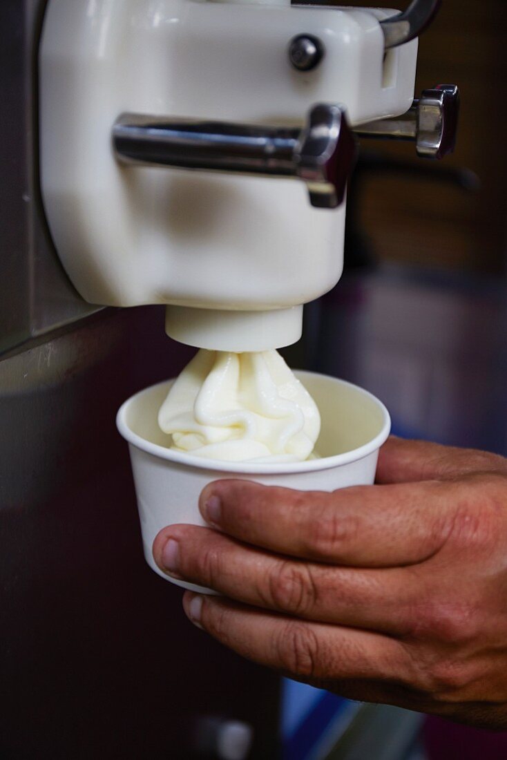 Frozen yoghurt being drawn from a machine