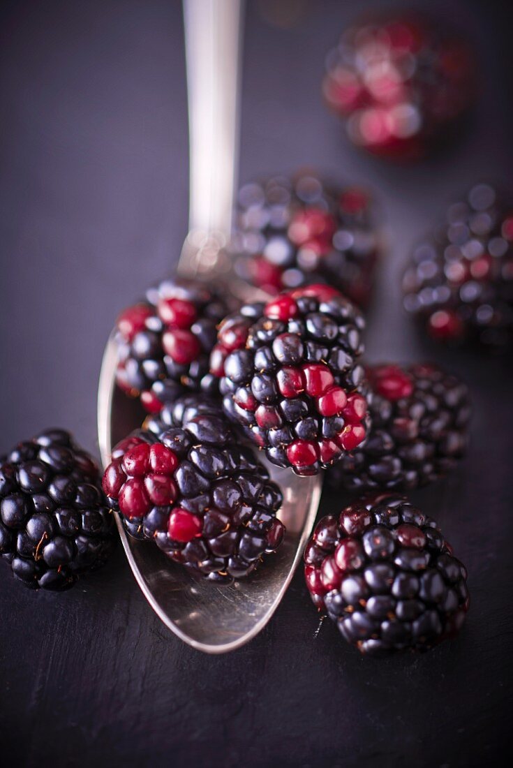 Brombeeren auf Löffel