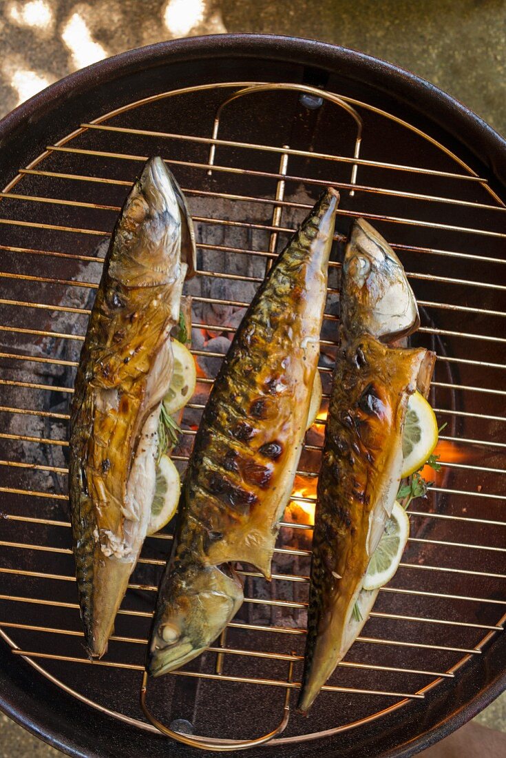 Grilled mackerel