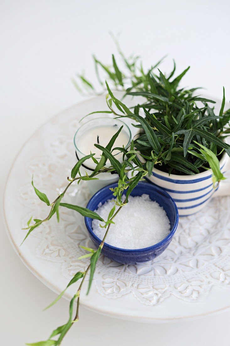 House plant and sugar in simple, Scandinavian ceramic pots on serving plate with embossed pattern