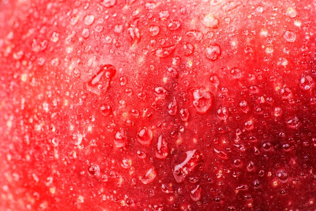 Roter Apfel mit Wassertropfen (Detail)