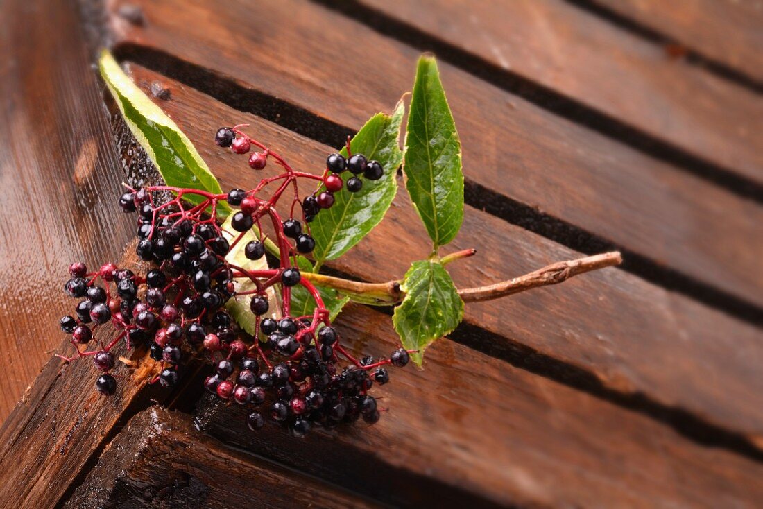 A sprig of elderberries on a wooden crate