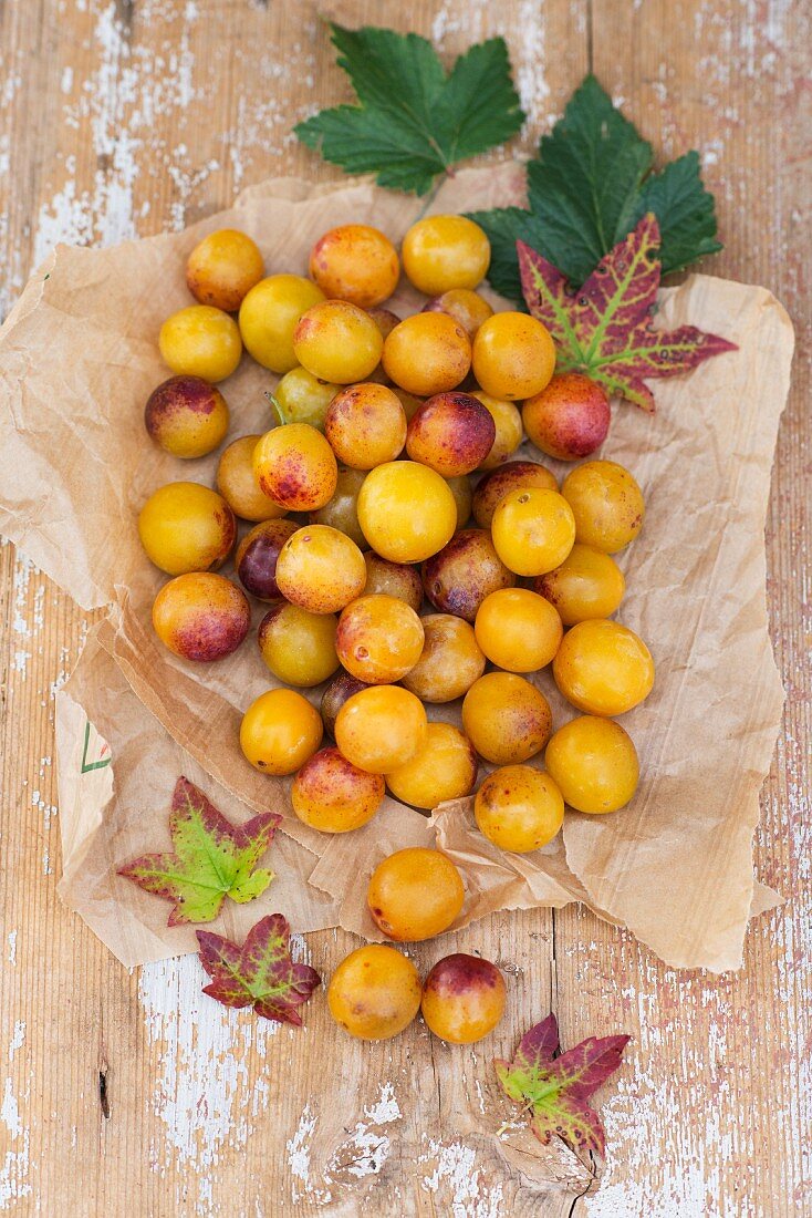 Yellow plums with colourful vine leaves on a piece of parchment paper