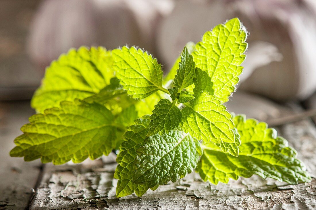 Fresh mint (close-up)