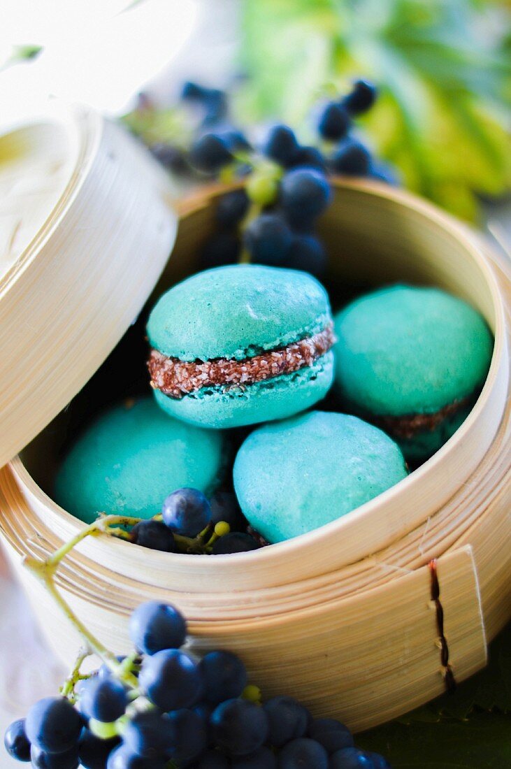 Turquoise coconut macaroons