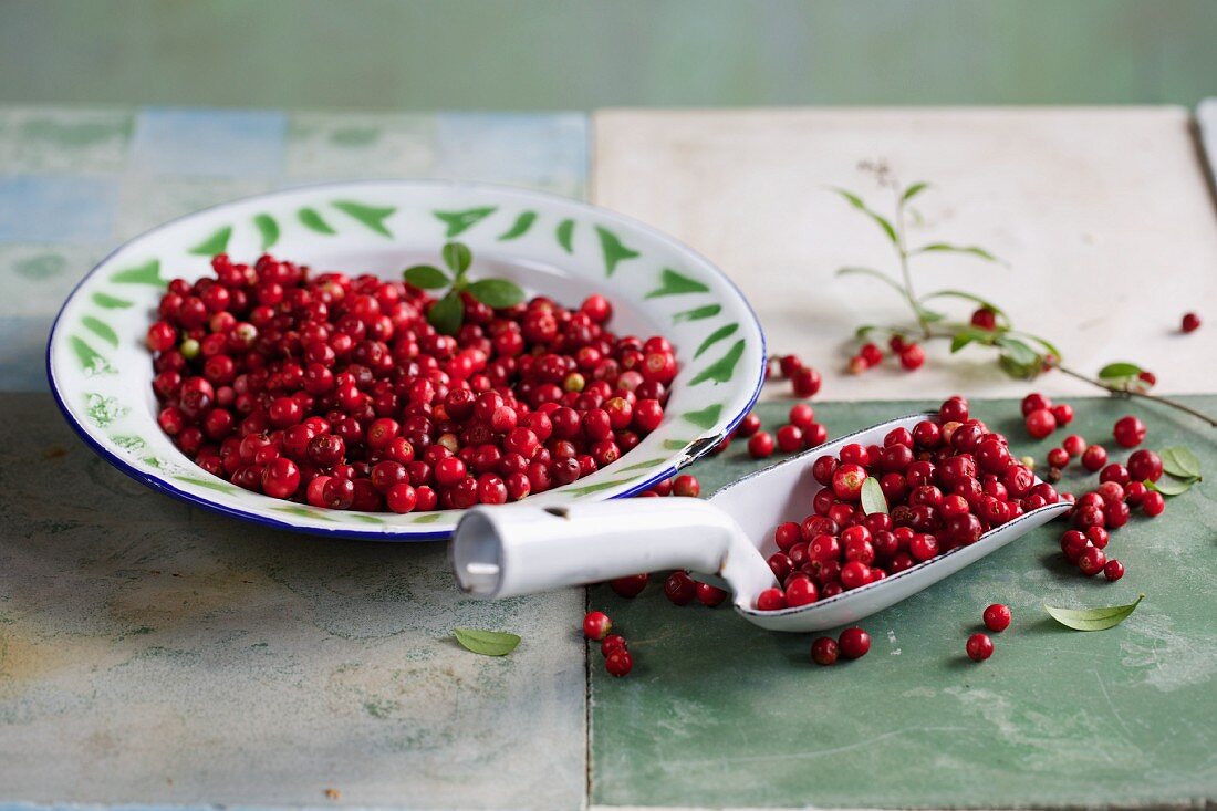 Preiselbeeren auf Teller mit Schaufel