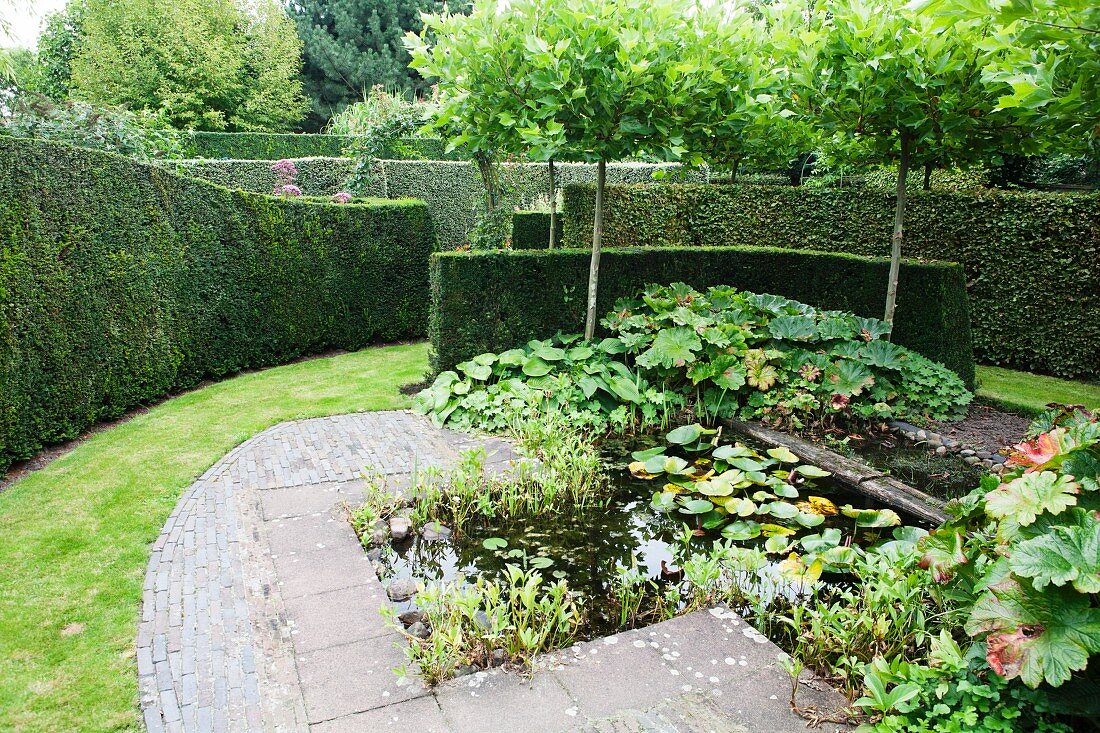 Lily pond and paved area surrounded by lawns and box hedges