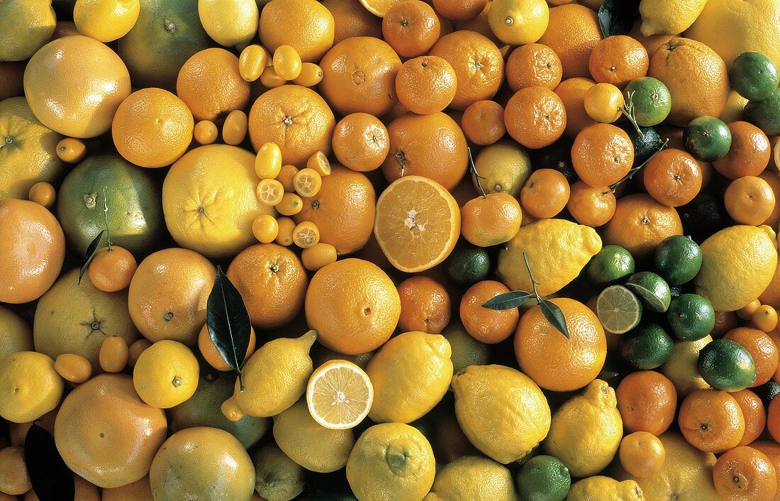 Still Life of Assorted Citrus Fruit
