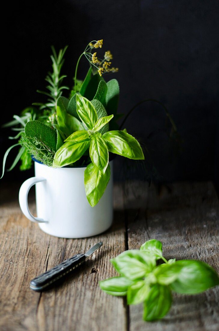 Mixed fresh Italian herbs (basil, sage, fennel, rosemary and thyme) in an enamel mug