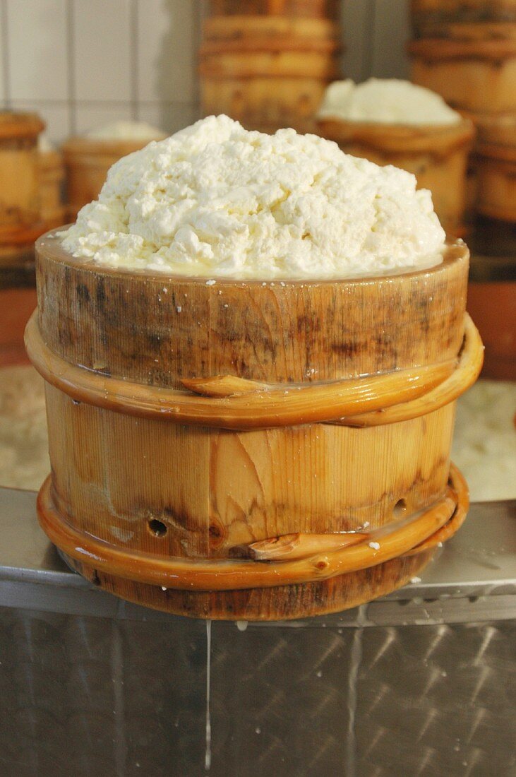 Montafoner cream cheese in a wooden barrel in a dairy